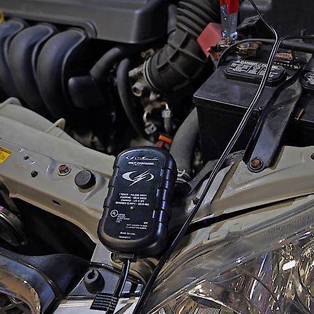 1A 12 Volt Maintainer with 20ft. Cord
