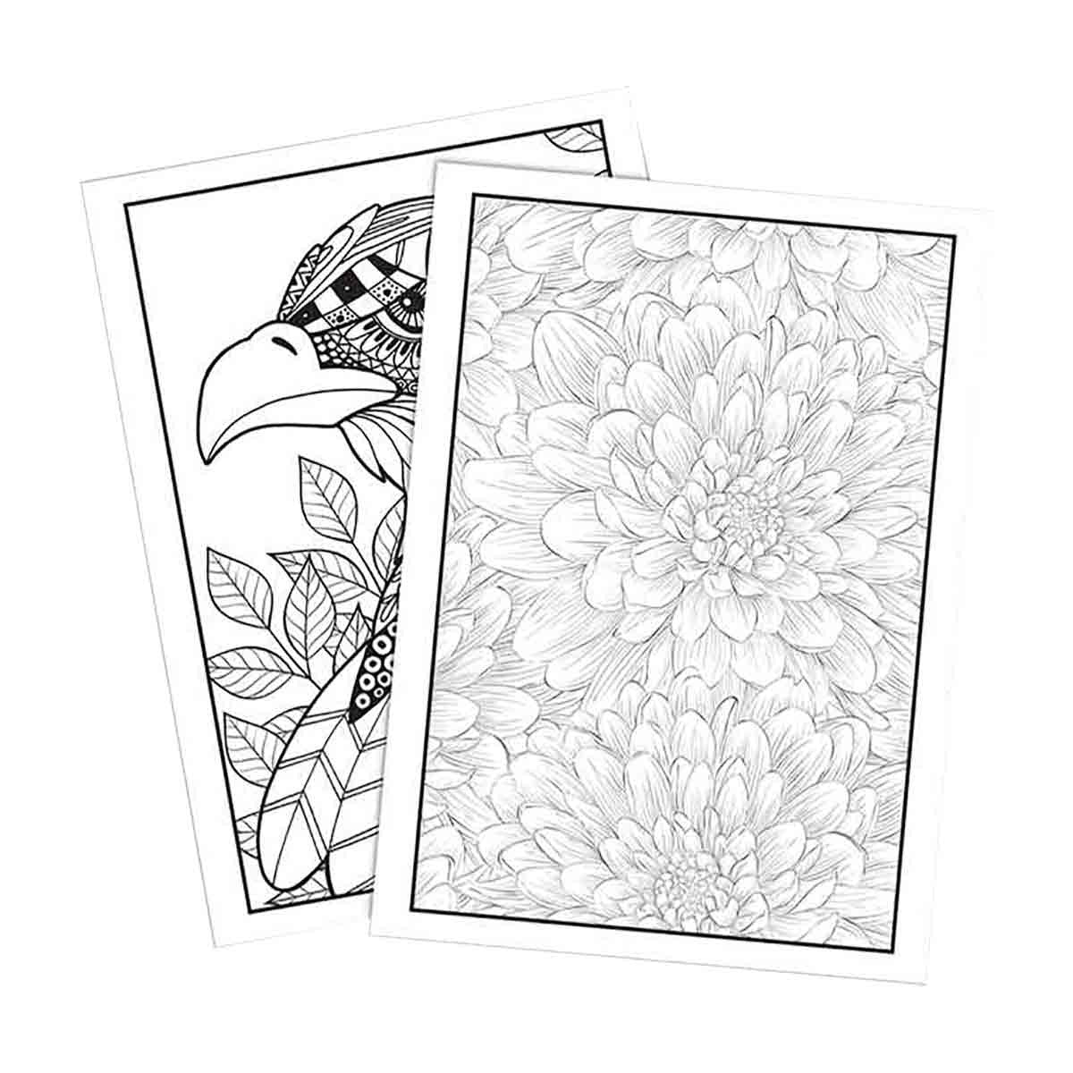Bendon Birds, Blooms, and Butterflies Advanced Coloring Book