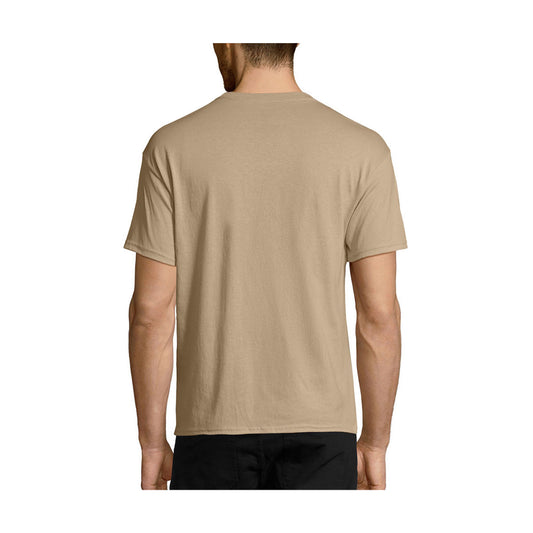 Hanes Men's EcoSmart Short Sleeve Tee - Pebble, 2X Large