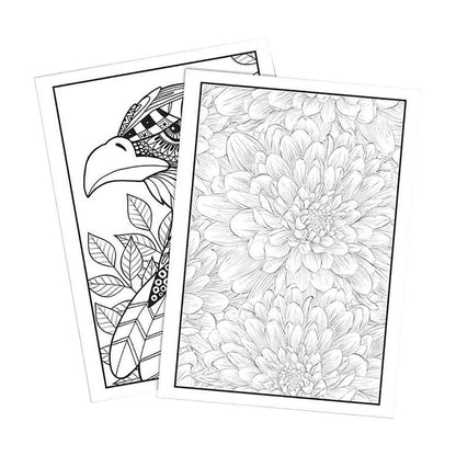 Bendon Birds, Blooms, and Butterflies Advanced Coloring Book